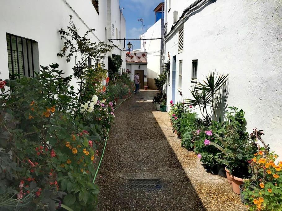 Apartamento Corazón De Conil Conil De La Frontera Exterior foto